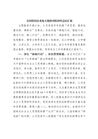 在国资国企系统主题教育阶段性总结汇报