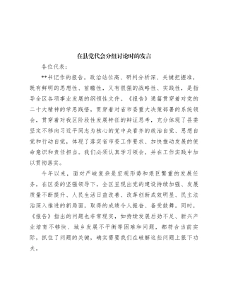 在县党代会分组讨论时的发言