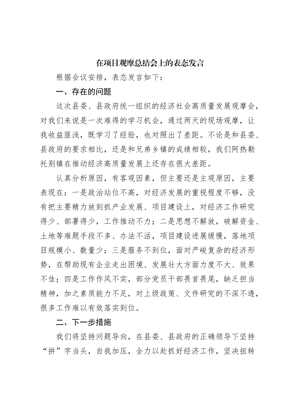 在项目观摩总结会上的表态发言_第1页