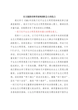 在主题教育典型案例剖析会上的发言