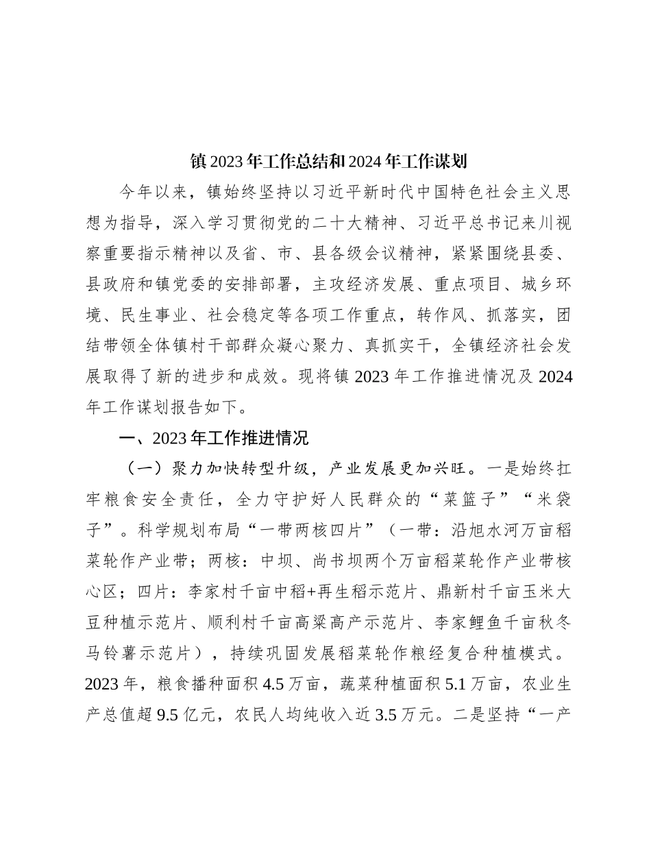 镇2023年工作总结和2024年工作谋划_第1页