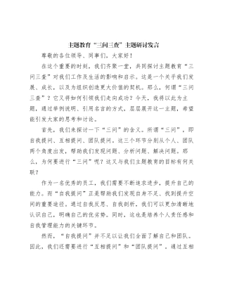 主题教育“三问三查”主题研讨发言