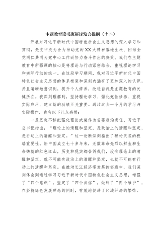 主题教育读书班研讨发言提纲（十二）