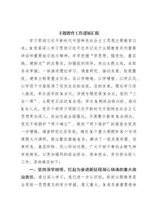 主题教育工作进展汇报