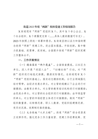 街道2023年度“两新”组织党建工作情况报告