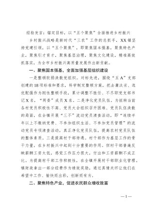 经验发言：锚定目标，以“五个聚焦”全面推进乡村振兴