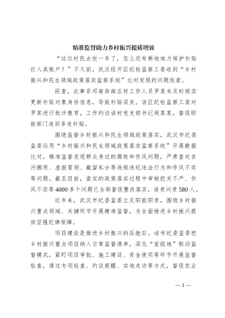 精准监督助力乡村振兴提质增效