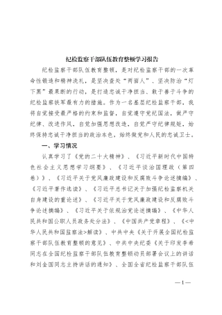 纪检监察干部队伍教育整顿学习报告
