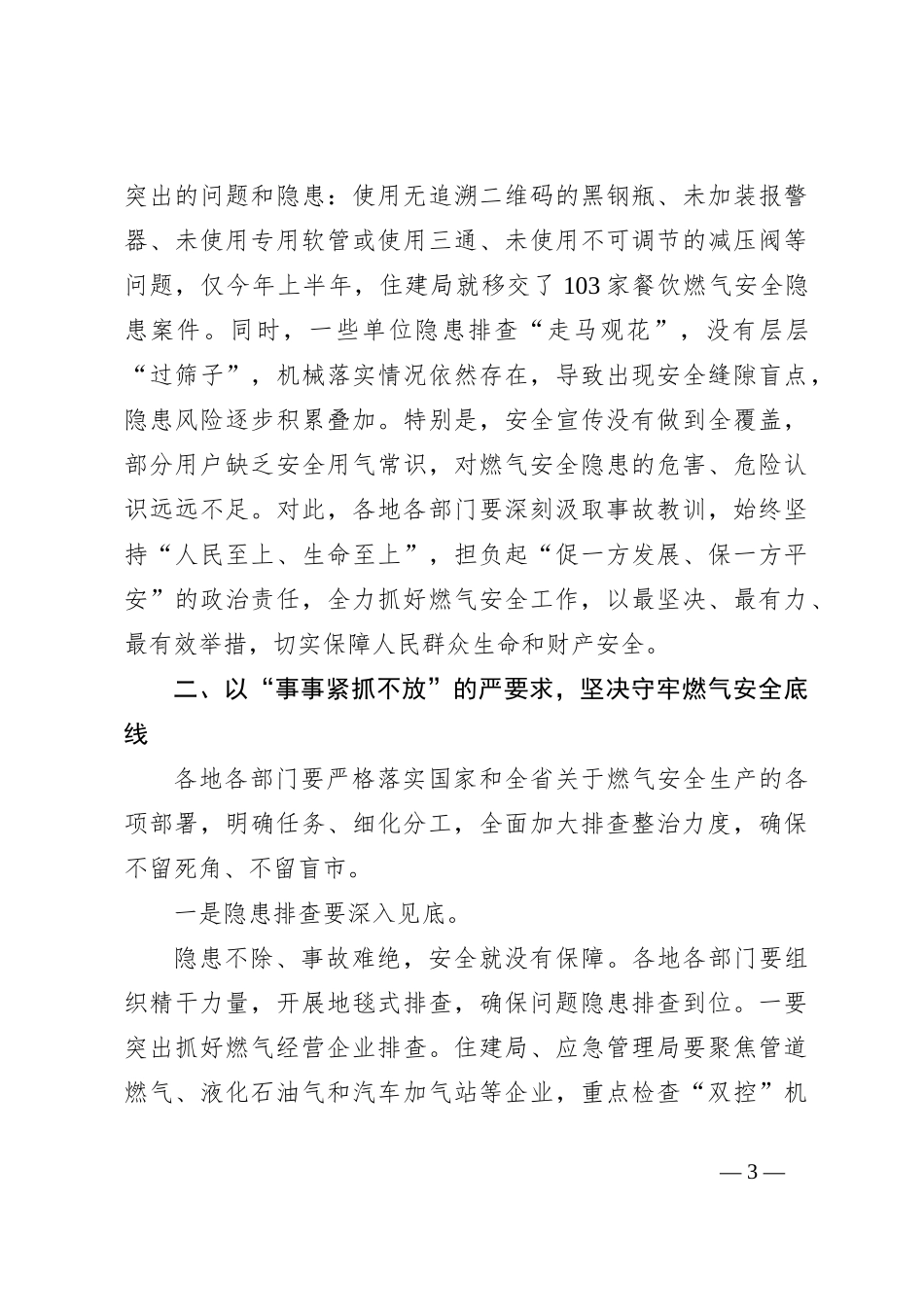 关于学习贯彻重要指示批示精神在燃气大会上的讲话_第3页