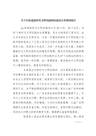 关于在街道新时代文明实践所站建设自查整改报告