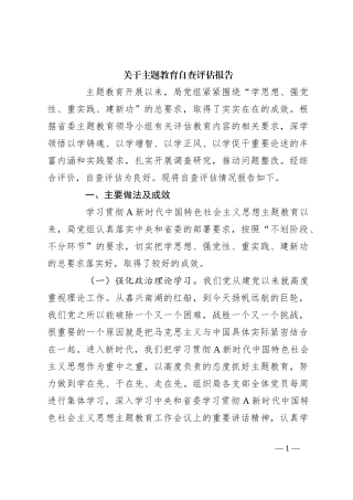 关于主题教育自查评估报告