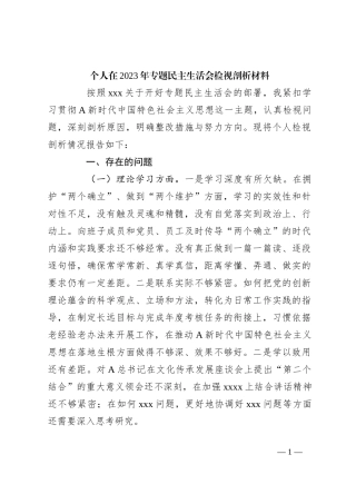 个人在2023年专题民主生活会检视剖析材料
