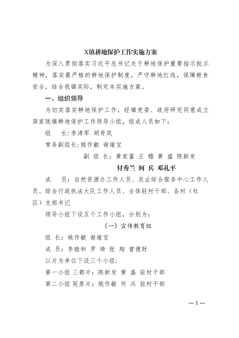 耕地保护工作实施方案_第1页