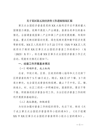 关于某区第五次经济普工作进展情况汇报