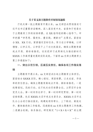 关于某支部主题教育开展情况通报