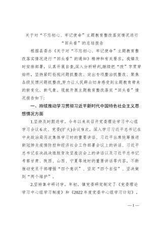 关于对“不忘初心、牢记使命”主题教育整改落实情况进行“回头看”的总结报告