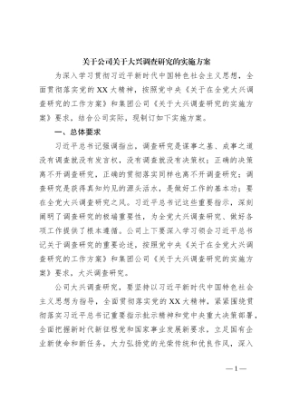 关于公司关于大兴调查研究的实施方案
