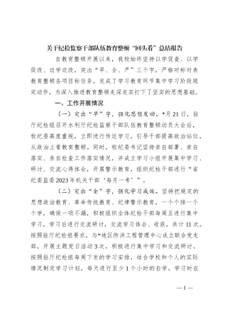 关于纪检监察干部队伍教育整顿“回头看”总结报告