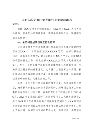 关于《XX专项审计调查报告》的整改情况报告