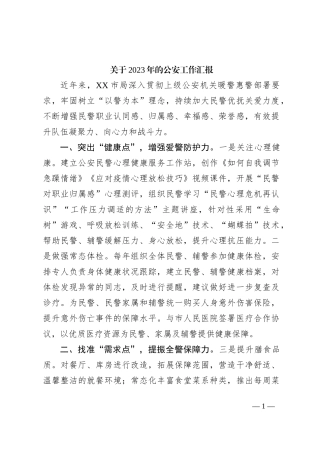 关于2023年的公安工作汇报