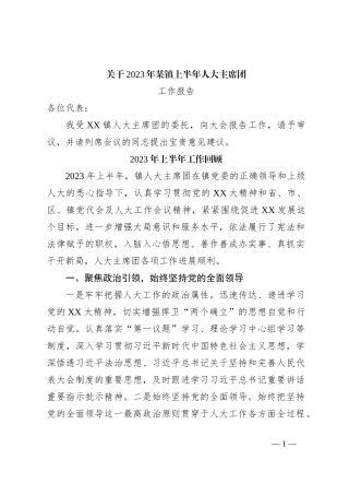 关于2023年某镇上半年人大主席团工作报告