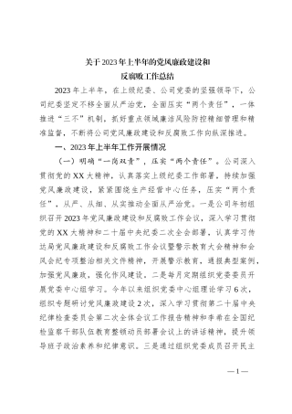 关于2023年上半年的党风廉政建设和反腐败工作总结