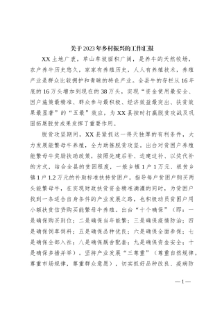 关于2023年乡村振兴的工作汇报