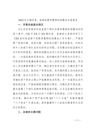 关于2023年乡镇纪委、监察组教育整顿检视整治自查报告
