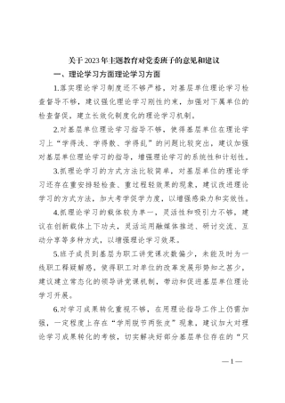 关于2023年主题教育对党委班子的意见和建议