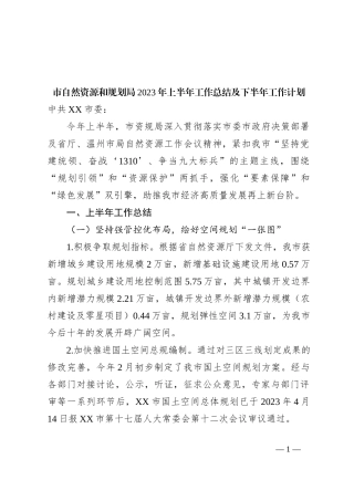 市自然资源和规划局2023年上半年工作总结及下半年工作计划