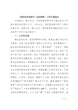 团县委乡村振兴（富民增收）工作计划总结