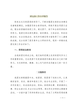 团支部工作自评报告
