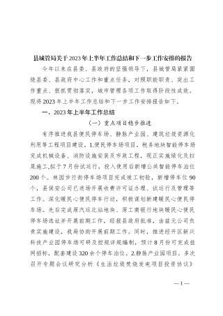 县城管局关于2023年上半年工作总结和下一步工作安排的报告