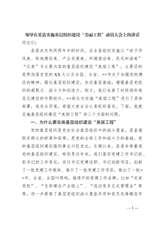 领导在某县实施基层组织建设“美丽工程”动员大会上的讲话