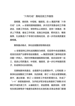 “六专行动”落地见效工作报告