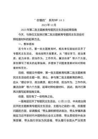 “你懂的”系列№103（综合）2023年第二批主题教育专题民主生活会起草指南
