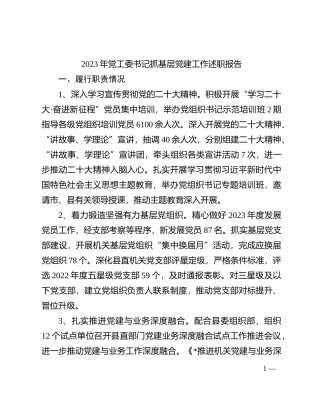 2023年党工委书记抓基层党建工作述职报告(1)