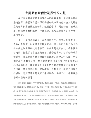 主题教育阶段性进展情况汇报
