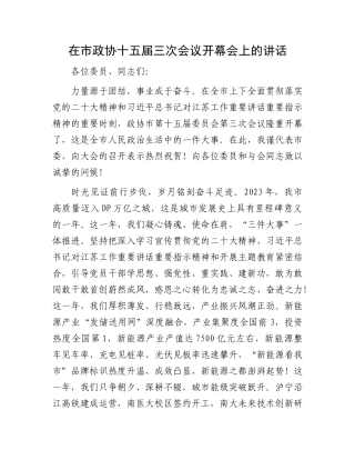 在市政协十五届三次会议开幕会上的讲话(3)