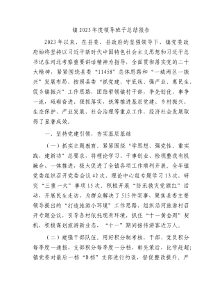 镇2023年度领导班子总结报告(1)