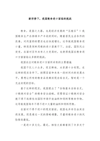 新形势下，我国粮食进口面临的挑战