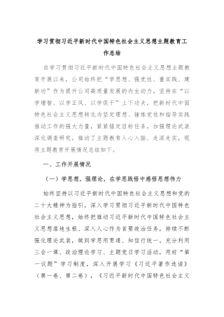 学习贯彻习近平新时代中国特色社会主义思想主题教育工作总结