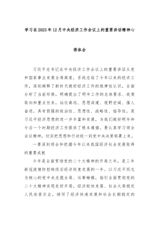 学习在2023年12月中央经济工作会议上的重要讲话精神心得体会