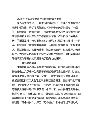 2023年度党组书记履行主体责任情况报告有重名 472904