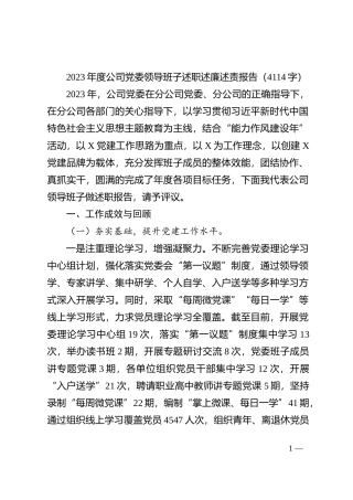 2023年度国企党委领导班子述职述廉述责报告