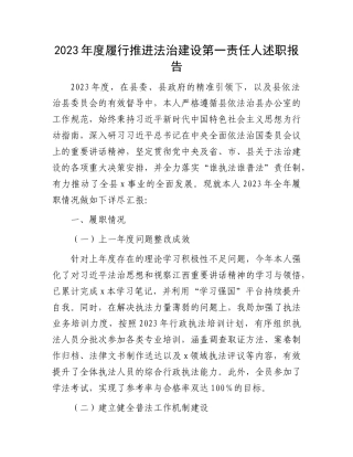 2023年度履行推进法治建设第一责任人述职报告