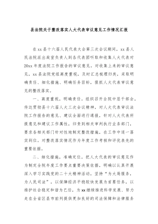县法院关于整改落实人大代表审议意见工作情况汇报