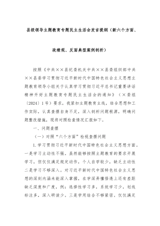 县级领导主题教育专题民主生活会发言提纲（新六个方面、政绩观、反面典型案例剖析）