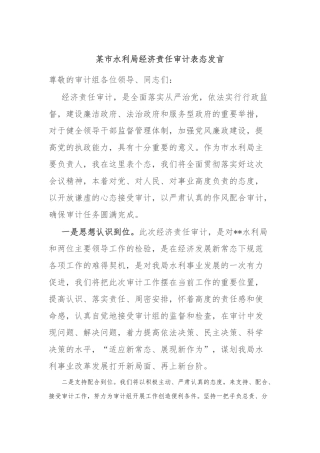 某市水利局经济责任审计表态发言