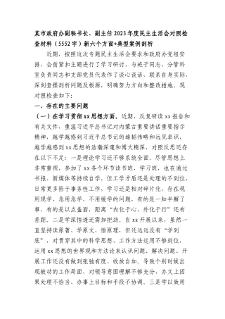 某市政府办副秘书长、副主任2023年度民主生活会对照检查材料（践行宗旨等6个方面+典型案例剖析